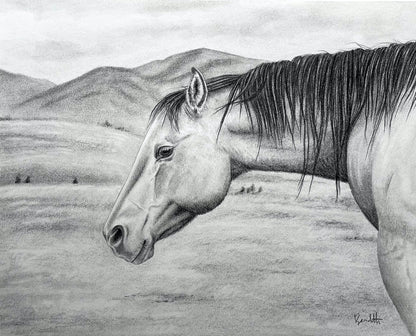 Buckskin