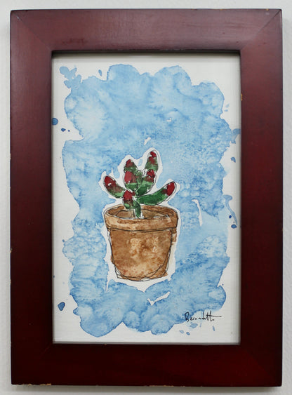 Succulent