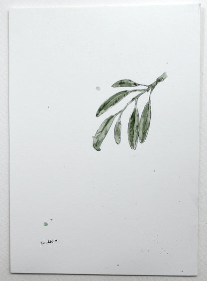 Leaves