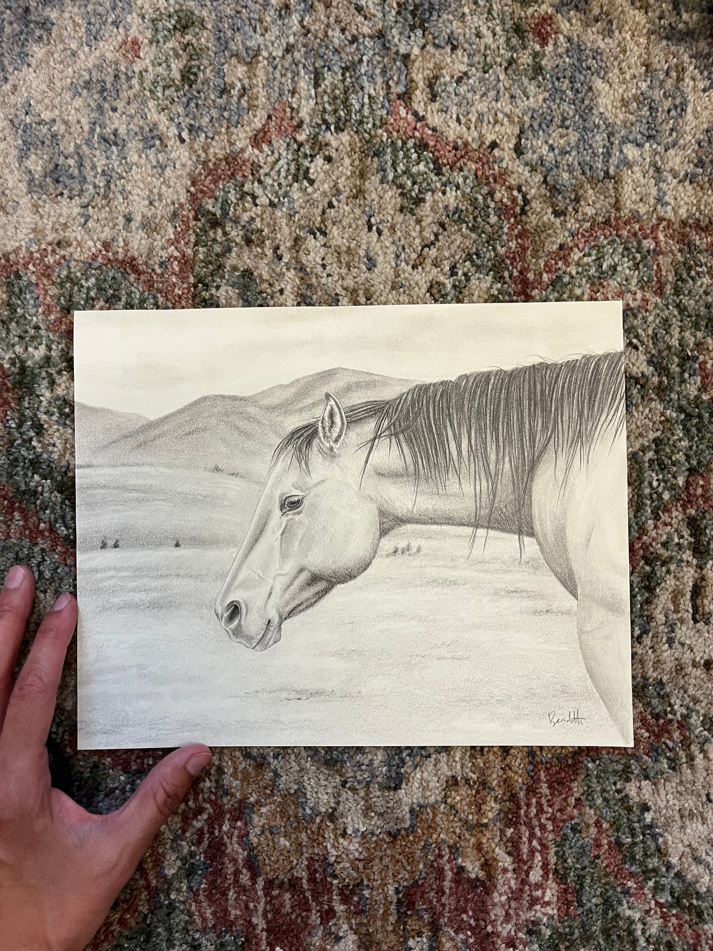 Buckskin