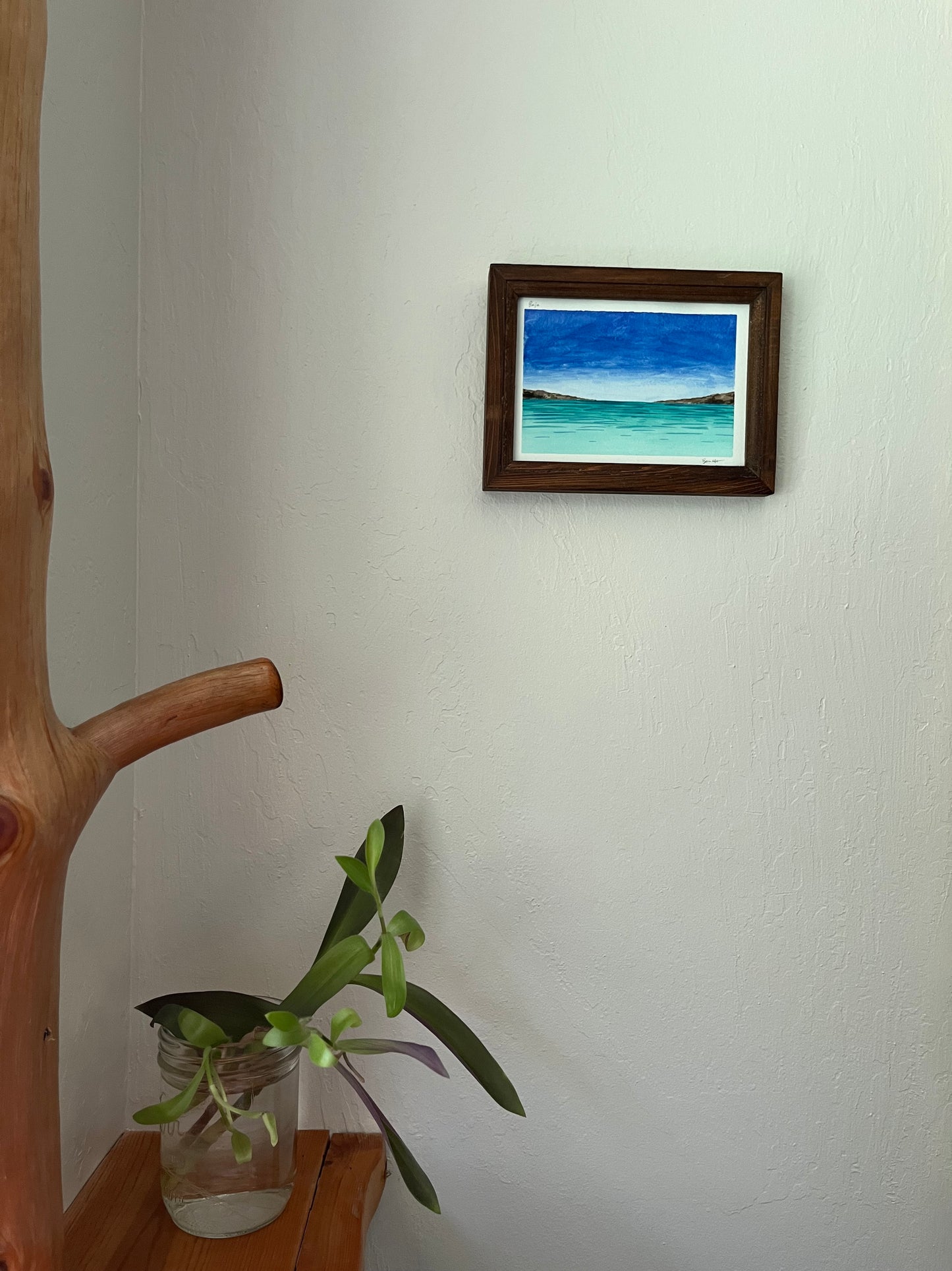 Baja