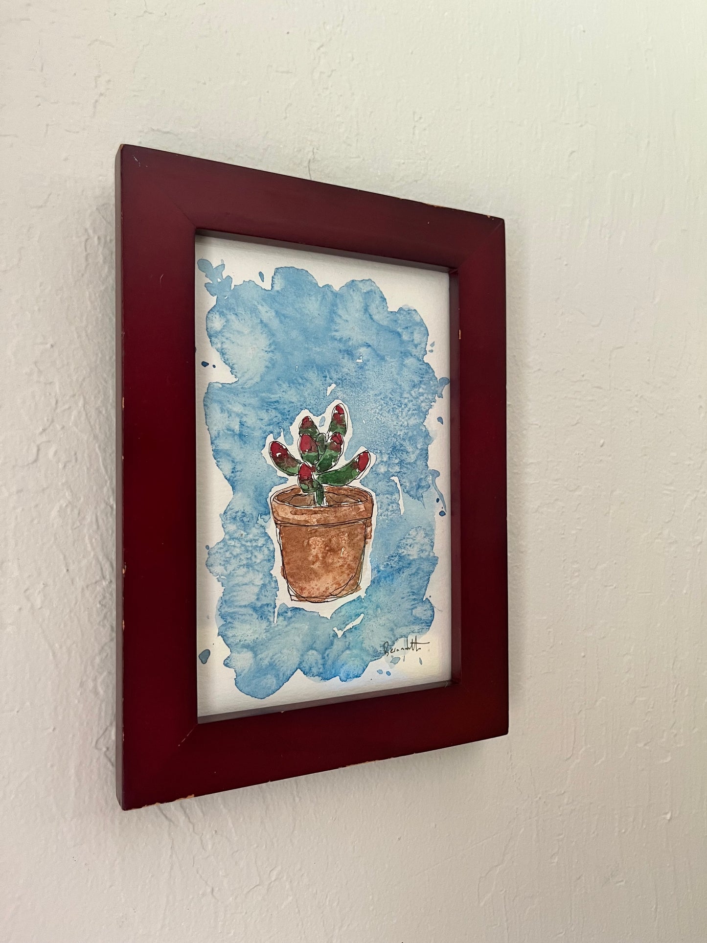 Succulent