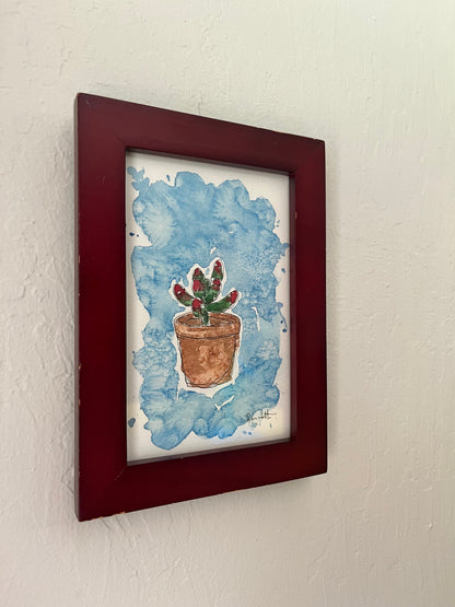 Succulent