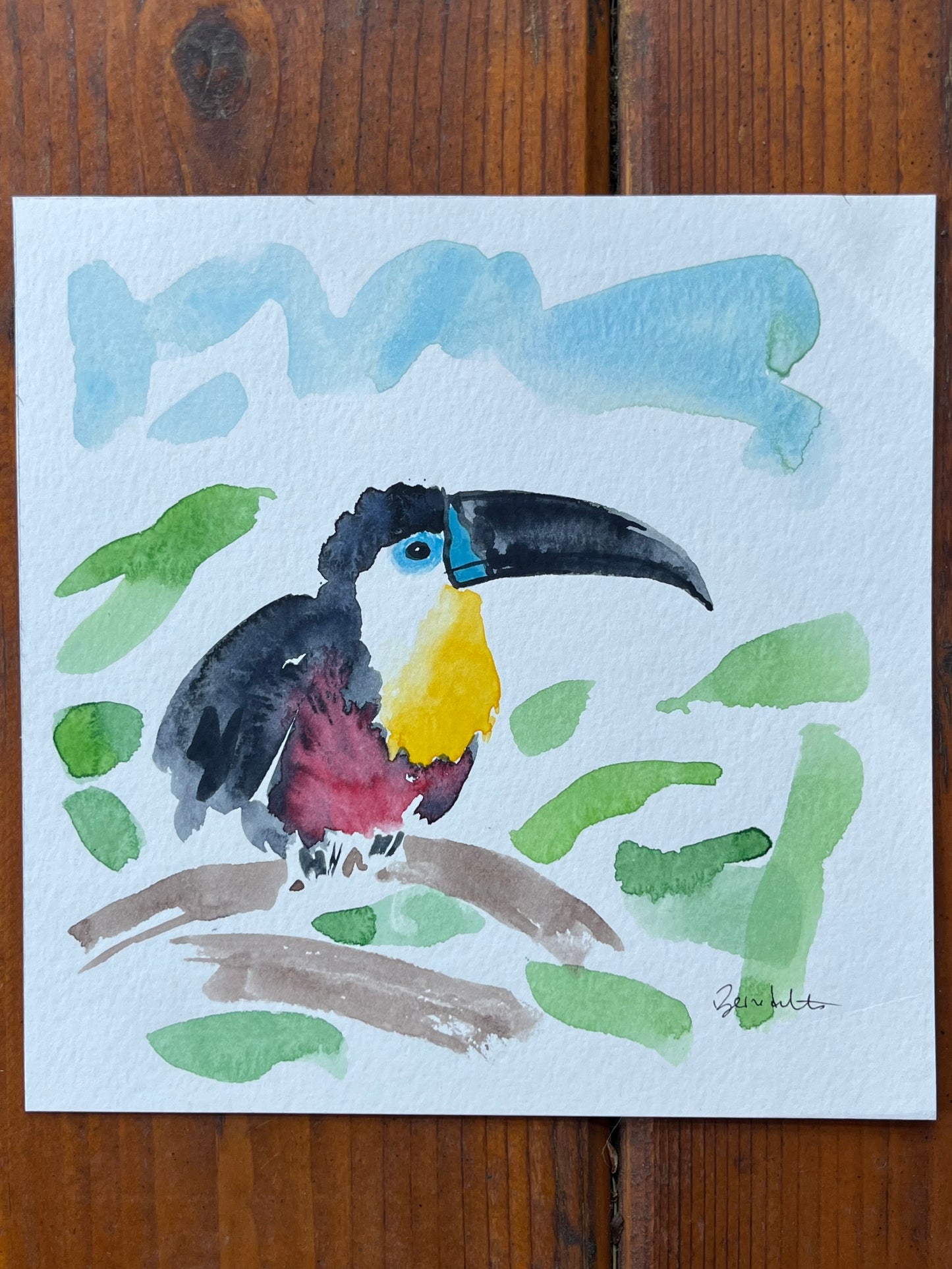 Toucan