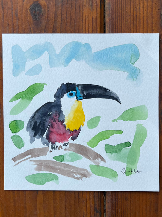 Toucan