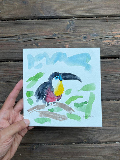 Toucan